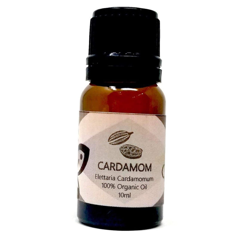 Cardamom Essential Oil - alter8.com