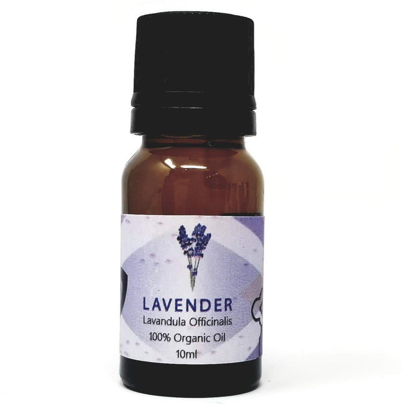 Lavender Bulgaria Essential Oil - alter8.com