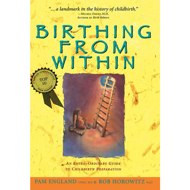 Birthing from Within: An Extra-Ordinary Guide to Childbirth Preparation (Revised) - alter8.com