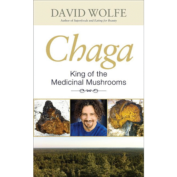 Chaga: King of the Medicinal Mushrooms - alter8.com