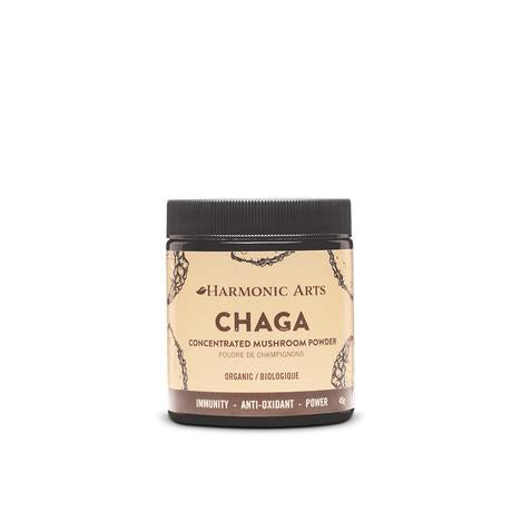 Chaga Concentrated Mushroom Powder - alter8.com