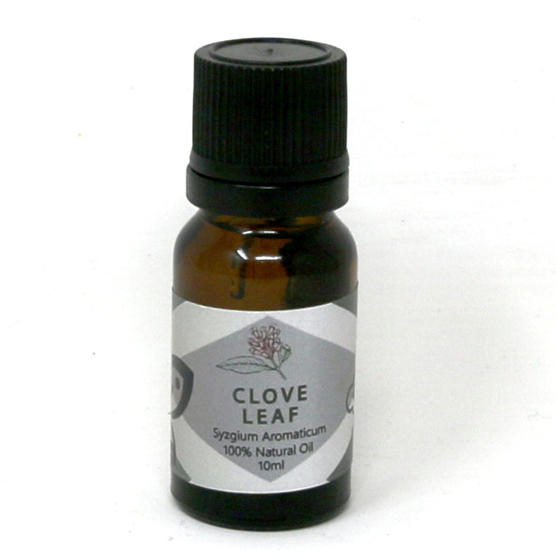 Clove Leaf Essential Oil - alter8.com