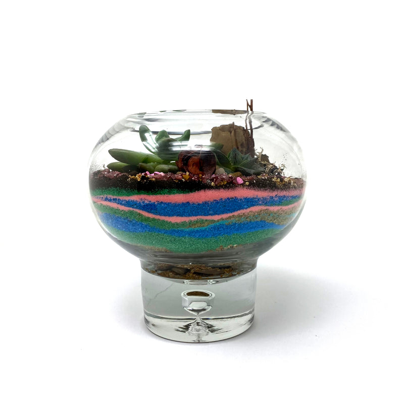 Terrariums by Globe and Snail: Feel Grounded - alter8.com