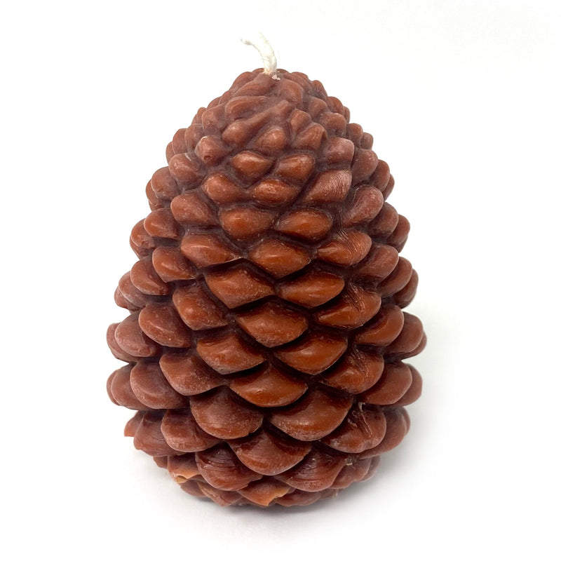 Pinecone Candle by Madame Phoenix - alter8.com