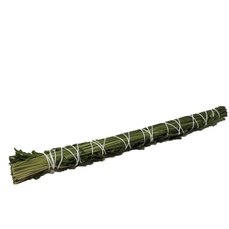 Sweetgrass Bundle Sticks (Ontario) - alter8.com