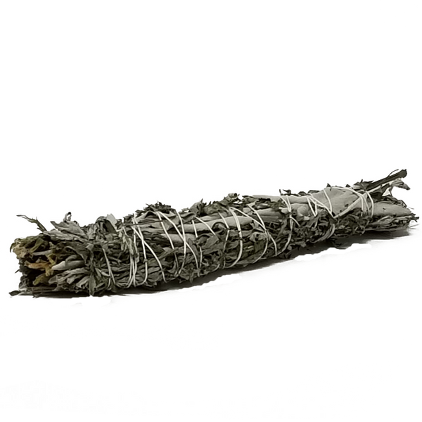 Mugwort Sticks (Ontario) - alter8.com